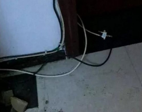 二哈拆家咬到電線，成果被電到炸毛，主人笑翻：小家伙長的真共同